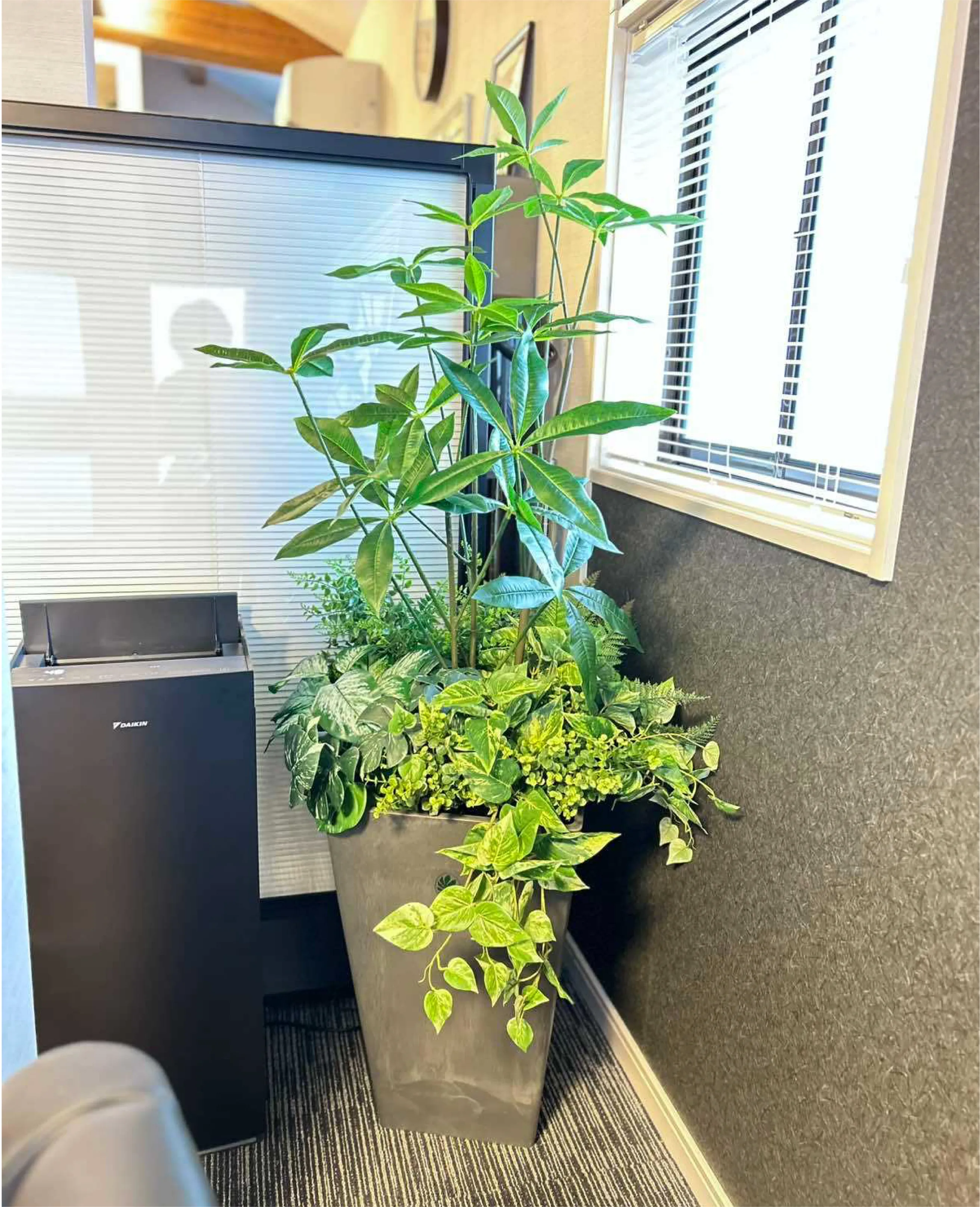 06 レスキューグリーン 商品設置画像