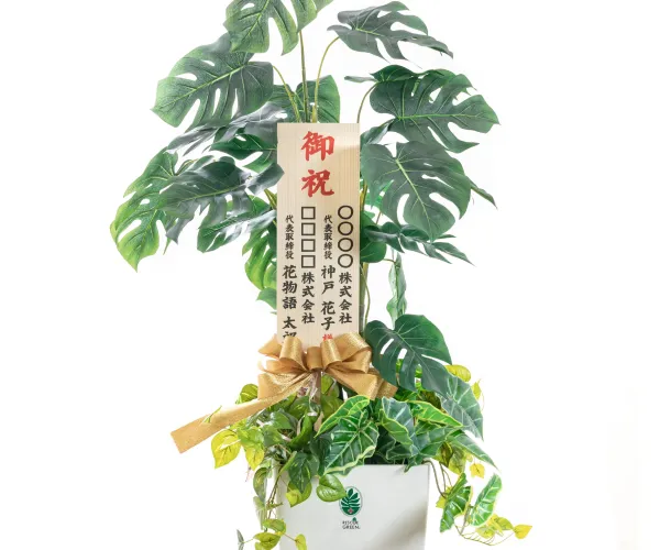 お祝い用のレスキューグリーンの商品画像