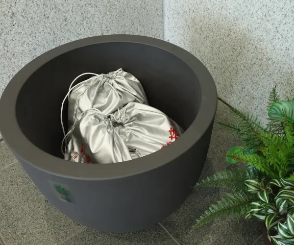 緑が生む癒しの空間の画像