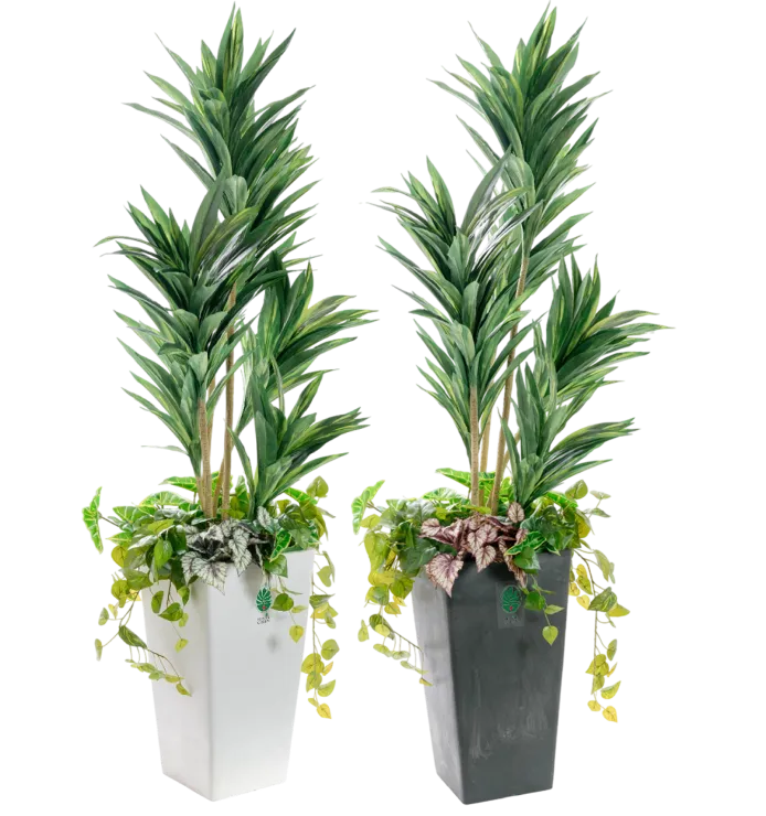 防災主任 木下まもる（コルディリネ）