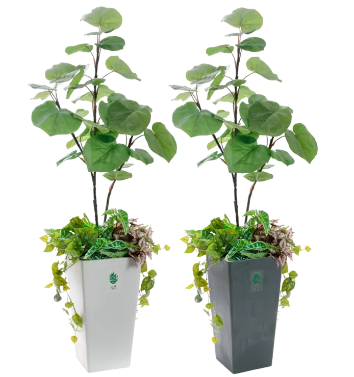 防災主任 木下まもる(ウンベラータ)